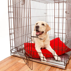 Benchkussens en kleden