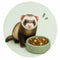 Frettenvoer