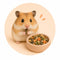 Hamstervoer