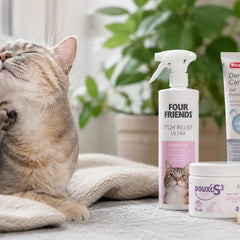 Huid, vacht & jeuk bij katten