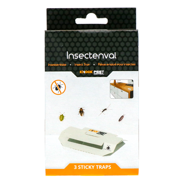 Vliegende insecten