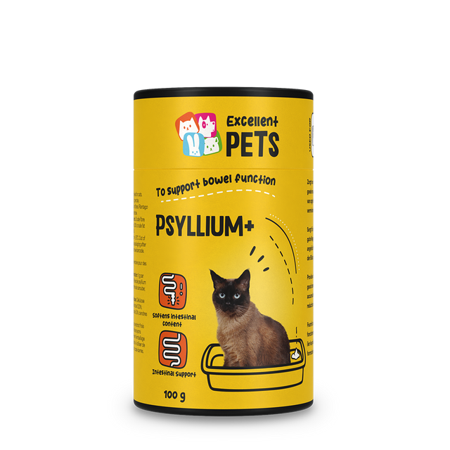 Maag & darm voor katten
