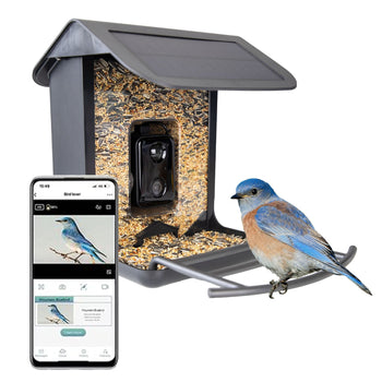Voer- & waterbakken vogels