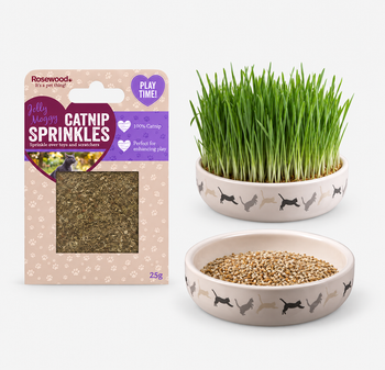 Catnip (kattenkruid) & kattengras