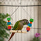 Hangspeelgoed voor vogels