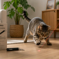 Laserlampjes voor katten