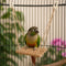 Schommels voor vogels