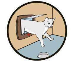 Karlie CAT FLAP Katzentür