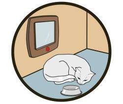 Karlie CAT FLAP Katzentür