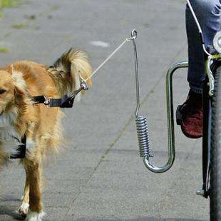 Karlie Doggy Guide Führhalter für Fahrräder