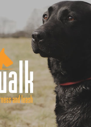 Easy Walk Handmodel