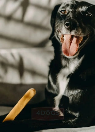 4DOGS Gryzak z sera himalajskiego Churpi Original L