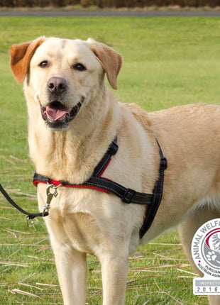 Trixie Trainingsgeschirr Lead'n'Walk Soft - XS-S