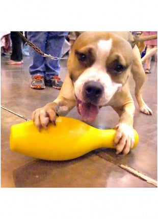 Tuggo Shake N Fetch - Large