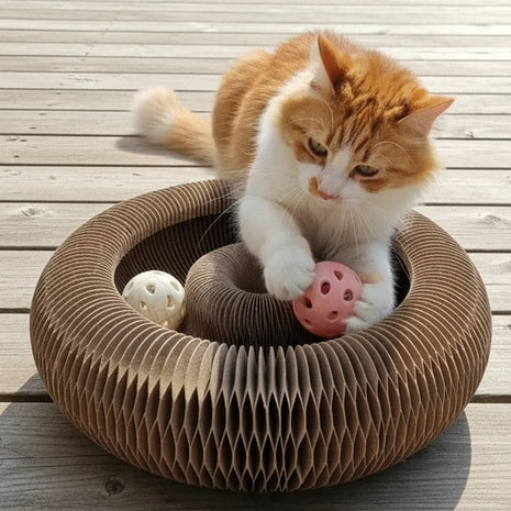 Zolux Chatouille Drapka tekturowa składana z piłką i kocimiętką