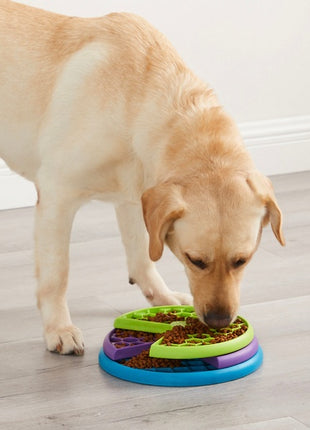 Nina Ottosson Lickin Layers - gra edukacyjna [70646]