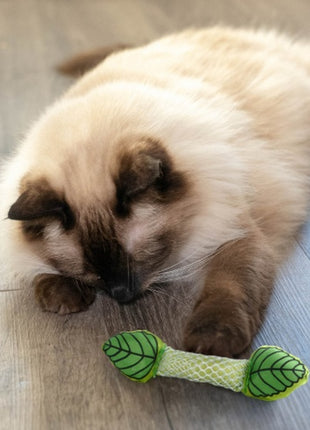 Petstages Miętowa strzała PS335