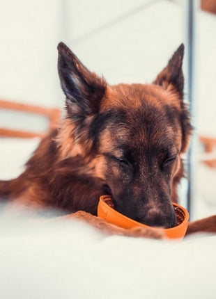 LickiMat Wobble Miska głęboka Jeżyk miękka pomarańczowa