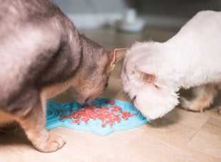 LickiMat Classic Felix Rybka fale miękka turkusowa