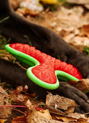 Dingo Zabawka dla psa - Guma TPR - Bumerang TRI 16,5cm