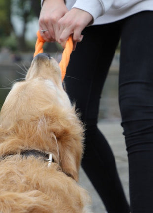 Dingo Zabawka dla psa - Ringo zaplatane Energy 18cm zielone