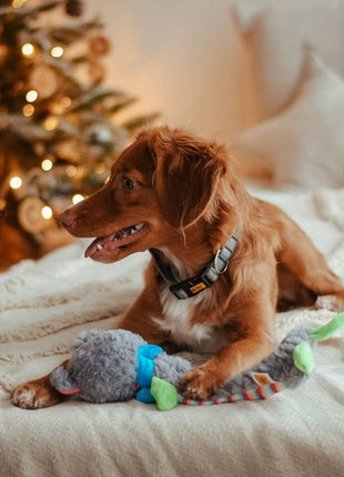 Dingo Zabawka dla psa pluszowa - Miś Yoko 36cm