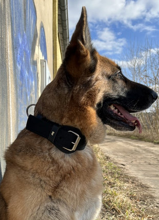 Dingo Obroża specjalna z taśmy 4,0x55-65cm czarna