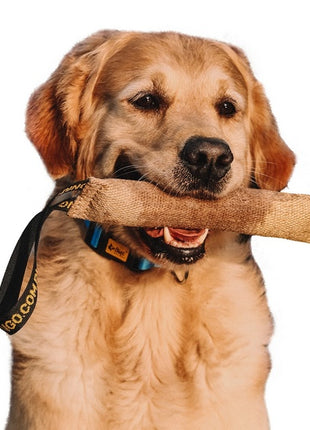 Dingo Zabawka dla psa - Szarpak z juty z uchwytem 28/4cm