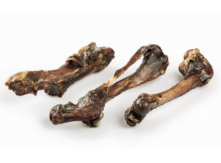 Balto Kość dzika 1szt