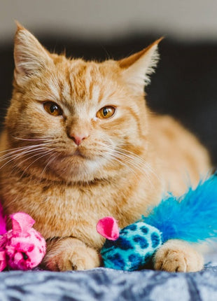 Dingo Zabawka dla kota - Kolorowe myszki 2szt różowa i niebieska