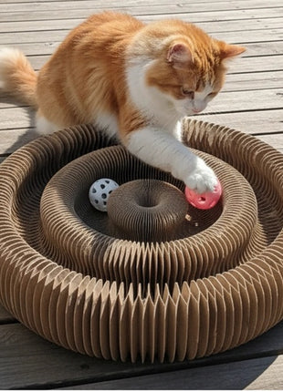 Zolux Chatouille Drapka tekturowa składana podwójna z piłkami i kocimiętką