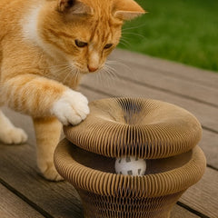 Zolux Chatouille Drapka tekturowa składana łapka z piłką i kocimiętką