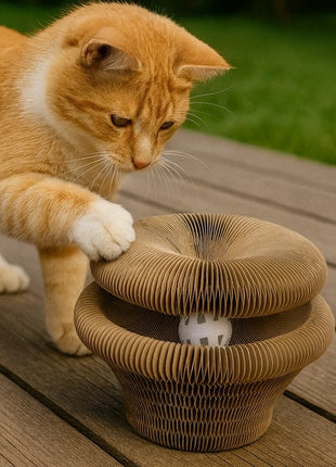 Zolux Chatouille Drapka tekturowa składana łapka z piłką i kocimiętką