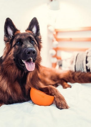 LickiMat Wobble Miska głęboka Jeżyk miękka pomarańczowa