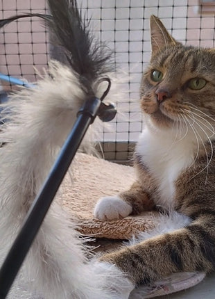 Dingo Zabawka dla kota - Wędka Jungle