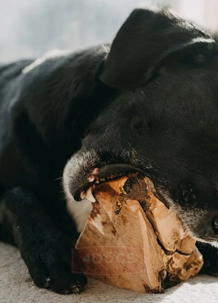 4DOGS Gryzak z korzenia drzewa wrzosowego L