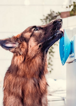 LickiMat Splash miska z przyssawką turkusowa