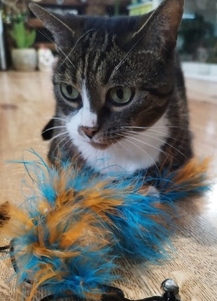 Dingo Wędka dla kota - ogonek z piór niebiesko-pomarańczowy