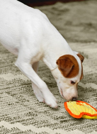 Outward Hound Invincibles Minis Waleczny pisklak 67805