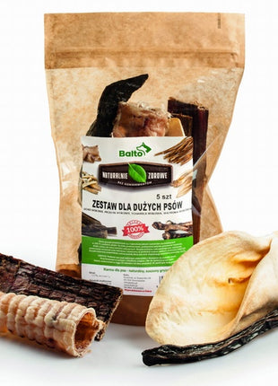 Balto Zestaw dla dużych psów Premium