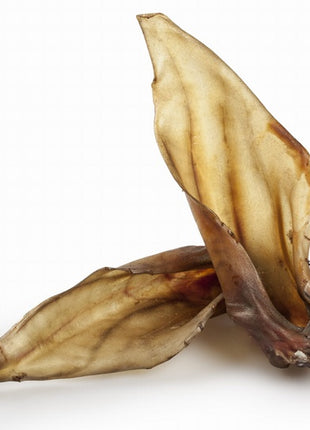 Balto Ucho jelenia 1szt