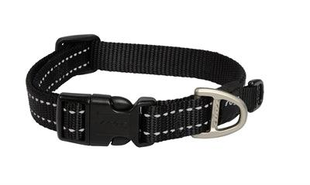 Fidello puppy pick-up pack – everything you need for the day you pick up your puppy