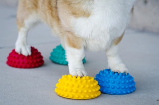 FitPaws Paw Pods Anti-Skid (4 stuks) – afbeelding 2