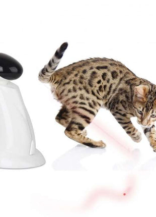All for Paws Laser Beam - interaktives Katzenspielzeug