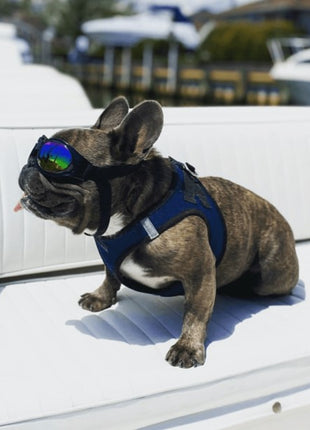 K9 Sport Shades Hondenzonnebril – afbeelding 7