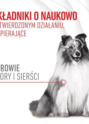 Royal Canin Skin & Coat Chews Adult Supplements 240g