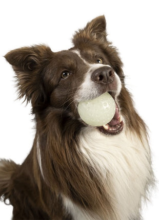 Kiwi Walker Let's Play Glow Ball Mini piłka