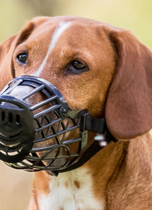 Trixie Kaganiec plastikowy dla psa rozmiar 1 (XS) czarny [17601]