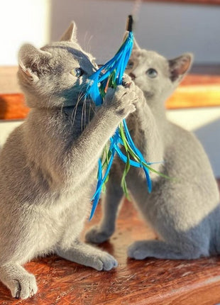 Dingo Zabawka dla kota - Wędka Charming z trzema wymiennymi zabawkami