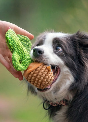 Dingo Zabawka dla psa - Kaktus Dolores 19cm